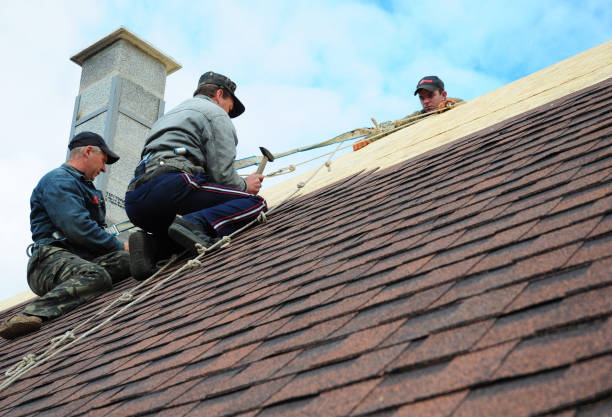 Roof Gutter Cleaning in Florence, MS